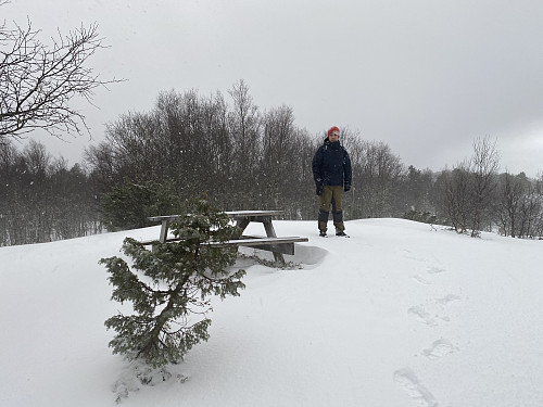 Bilde #5: På toppen av Randsetfjellet [525 m.o.h.].