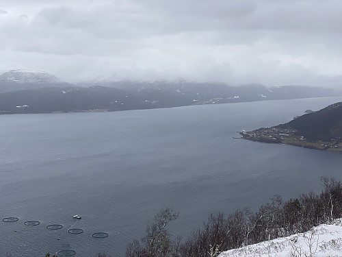 Bilde #6: Utsikt mot Langfjorden, med Åfarnes på sørsida, og Sølsnes på nordsida.