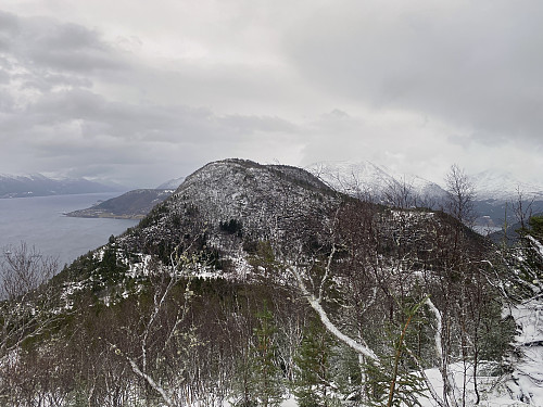 Bilde #12: Utsikt tilbake mot Randsetfjellet [585 m.o.h.].