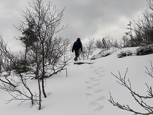 Bilde #19: Vi fortsetter videre mot toppen på Litleoksen (Skåla i Rødven).