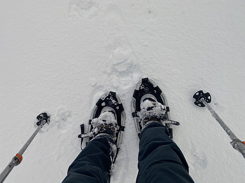 Bilde #2: Med for lite snø for å gå på ski, og i meste laget om man skulle gå til fots, ble det trugetur denne dagen.