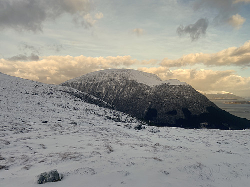 Bilde #5: Storhaugen [769 m.o.h.] sett fra Tua [366 m.o.h.].