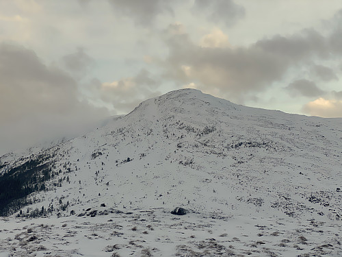 Bilde #6: Varden i Vestnes [643 m.o.h.] sett fra Tua [366 m.o.h.].