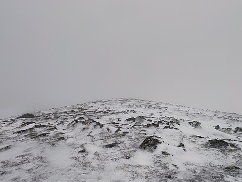 Bilde #11: På toppen [643 m.o.h.], hvor det egentlig ikke var stort annet enn stein å se. På en klarværsdag ville man sett rett bort på Frostatinden i denne retningen.