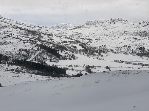 Bilde #12: På vei ned igjen. Hyttefeltet omtrent midt i bildet er Tomresetra, og fjellet i høyre billedhalvdel er Kjølen [527 m.o.h.].
