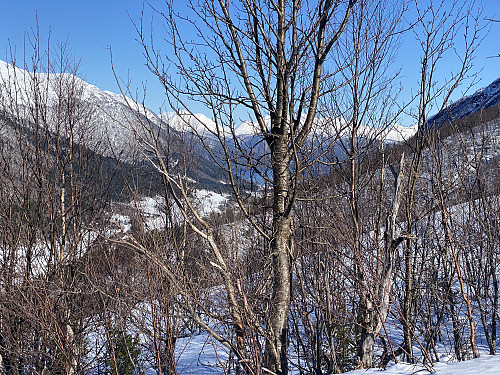 Bilde #2: Utsikt fra Skarseter-veien utover Mondalen og ut til Romsdalsfjorden. Bildet er tatt fra samme sted som det forrige.