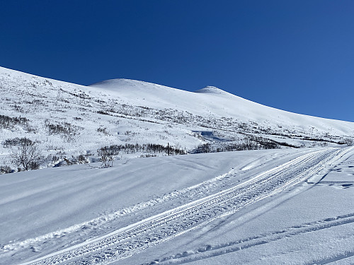 Bilde #4: ...og i denne retningen ser vi rett opp på Urhaugen [1187 m.o.h.], som jeg besøkte ei uke seinere.