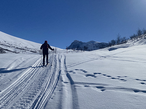 Bilde #6: Det var oppkjørt/trakket en trasé like inn til Store og Lille Måsvatn [622 og 627 m.o.h., hhv.]. Vi tok imidlertid av til høyre bare et lite stykke lengre fremme. Fjellet rett fram er Nonstinden [1572 m.o.h.].