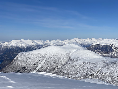 Bilde #8: Utsikt mot Skarven [1099 m.o.h.], også kalt Innfjordskarven eller Høgsteskarven.