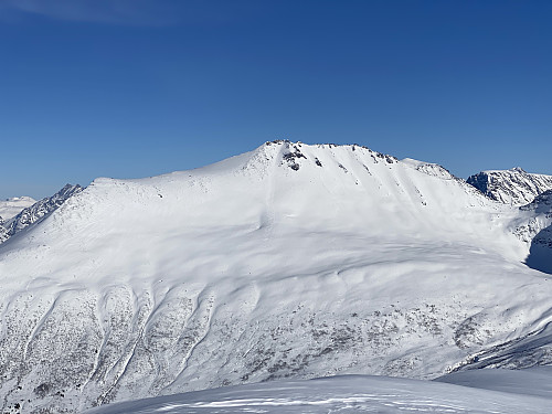 Bilde #9: Skjervan [1542 m.o.h.].