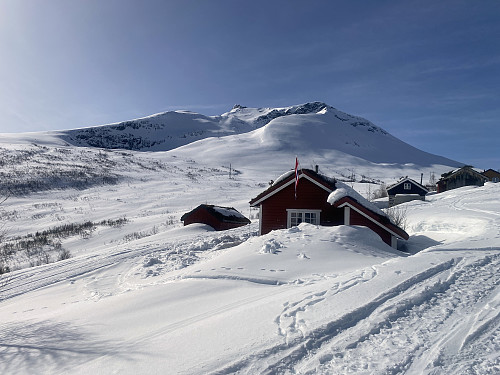 Bilde #5: Skjervan sett fra Hovdesetra. De tre toppene på bildet er (fra venstre): Skjervan NØ [1265 m.o.h.], Skjervan [1546 m.o.h.] og Mollavasstinden [1336 m.o.h.].