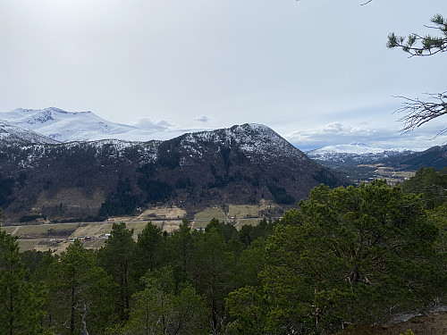 Bilde #4: Utsikt fra Nørdre Lundsfjellet mot Kollen [501] og Raudberget [406 m.o.h.].