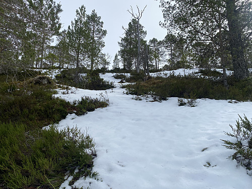 Bilde #5: Litt snø var der på vei opp mot den midtre toppen på Lundsfjellet, men ikke verre enn at det var helt greit å gå oppover der.