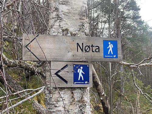Bilde #8: Stien opp på Nøta [199 m.o.h.] er godt merket.