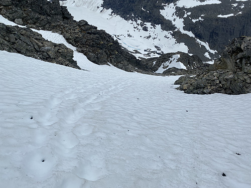 Bilde #30: I renna ned igjen fra toppen ("normalvegen"), var det fortsatt en del snø, men også spor etter folk som har gått der. Anbefaler stegjern eller grove kramper (Snowline eller lignende) dersom man tar turen når det fortsatt er såpass mye snø her, for det kan fort bli farlig dersom man begynner å gli nedover ei bratt renne som dette.