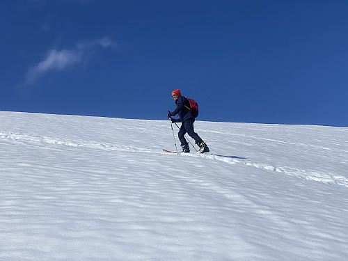 Bilde #4: På vei opp på Vardebakkana [1099 m.o.h.].