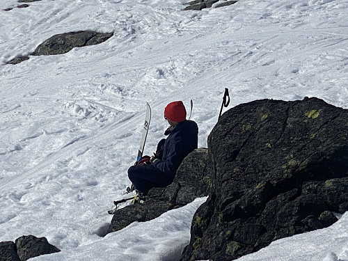 Bilde #10: Dag har funnet seg et sted i sola å innta nistematen sin.