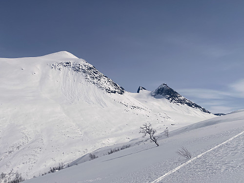 Bilde #3:...men høyere oppe ble det bedre. Skjorta på andre siden av dalen.