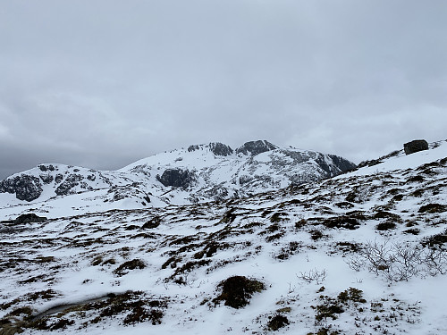 Bilde #3: Utsikt mot Skjerdingen [1061 m.o.h.] og Blåskjerdingen [1069 m.o.h.].