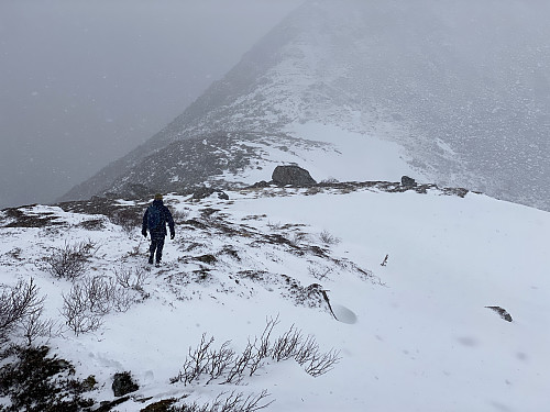 Bilde #8: På vei ned i gropa mellom Tverrfjellet [ 664 m.o.h.] og Blåfjellet [694 m.o.h.].