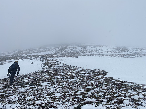 Bilde #12: I sadelen mellom Blåfjellet [694 m.o.h.] og Grøtfjellet [737 m.o.h.]