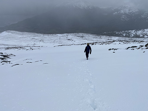 Bilde #15: På vei ned fra Grøtfjellet [737 m.o.h.] mot Gnuen [512 m.o.h.]. Her hadde snøen lagt seg litt dypere enn ellers.