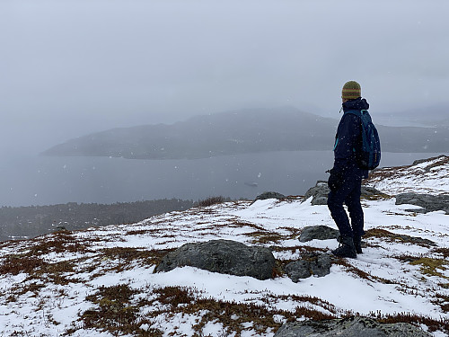 Bilde # 16: På Gnuen [512 m.o.h.], en liten knaus på østryggen av Grøtfjellet. Tomrefjorden og Furlandet sees i bakgrunnen.