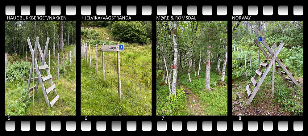 Bilde ## 1-8: Stien fra Vikåsen og opp på Haugbukkberget ("Nakken") er godt merket, både med skilt og med rødmerking på trærne, og flere steder er det laget en trapp/stige som man kan benytte inn og ut av beiteområdene.