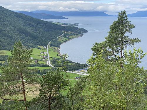 Bilde #11: Utsikt utover Hjelvika fra Daurmålskaret.