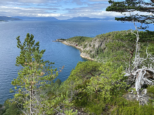 Bilde #33: Utsikt fra Høgåsen [149,1 m.o.h.] utover mot Hjelvikneset.