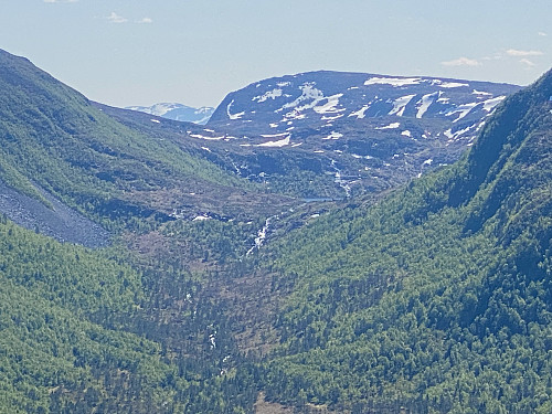 Bilde #5: Utsikt videre oppover Rekdalen. I det fjerne sees Forsvatnet [407 m.o.h.] og Litleskjerdingen [678 m.o.h.].