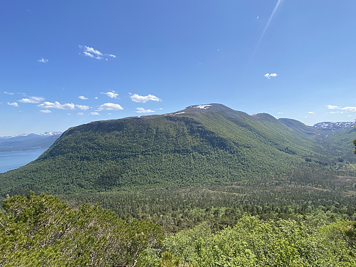 Bilde #9: Utsikt mot Nakkefjellet [737 m.o.h.].
