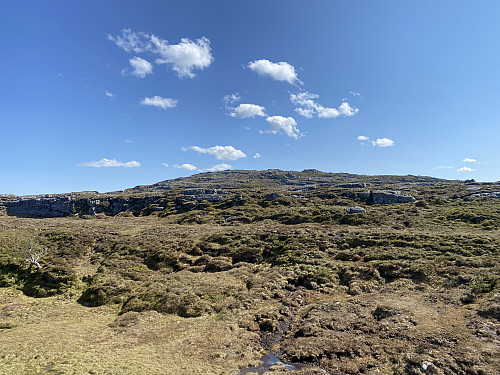 Bilde #12: Tilbakeblikk mot Snaufjell-toppen [479 m.o.h.] i det jeg passerer litt nedad til høyre for den, dvs. på vestsida av toppen (se kartet).