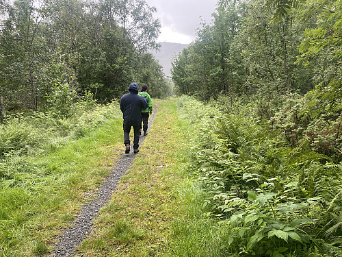 Bilde #3: Man følger så den nokså strake postvegen ca. 500 meter ned en bratt bakke, før man tar til venstre på grusveien som går til Kvanndalsætra.