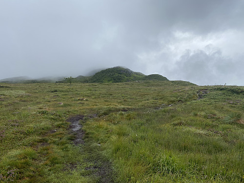 Bilde #11: Stien og fjellryggen videre oppover mot toppen.
