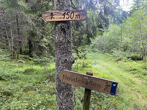 Bilde #3: Etter ca. bare 50 meter på en sti gjennom skogen, kommer man til et nytt skilt, hvor man tar av mot venstre.