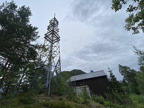 Bilde #22: Antenna på toppen av Litlekollen [143 m.o.h.].