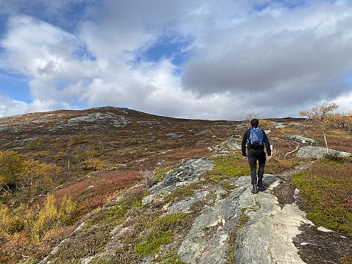 Bilde #2: ...og deretter oppover snaufjellet.