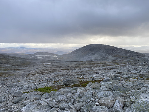 Bilde #10: Tilbakeblikk mot Raumyra [1330-1350 m.o.h.] og Raumyrhøa [1616 m.o.h.].