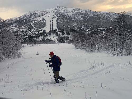Bilde #3: På vei opp ei brei åpen gate i skogen vis-à-vis Rauma Skisenter.