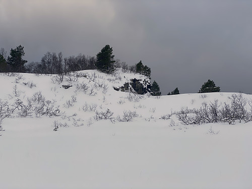 Bilde #6: Vi nærmer oss toppen av Gjøafjellet.