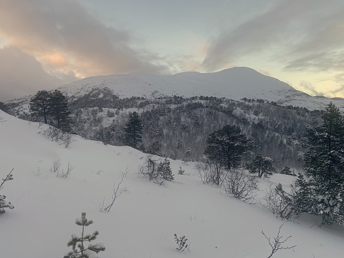 Bilde #7: Skarven [1048 m.o.h.] sett fra nordøstryggen på Nyfjellrørin.