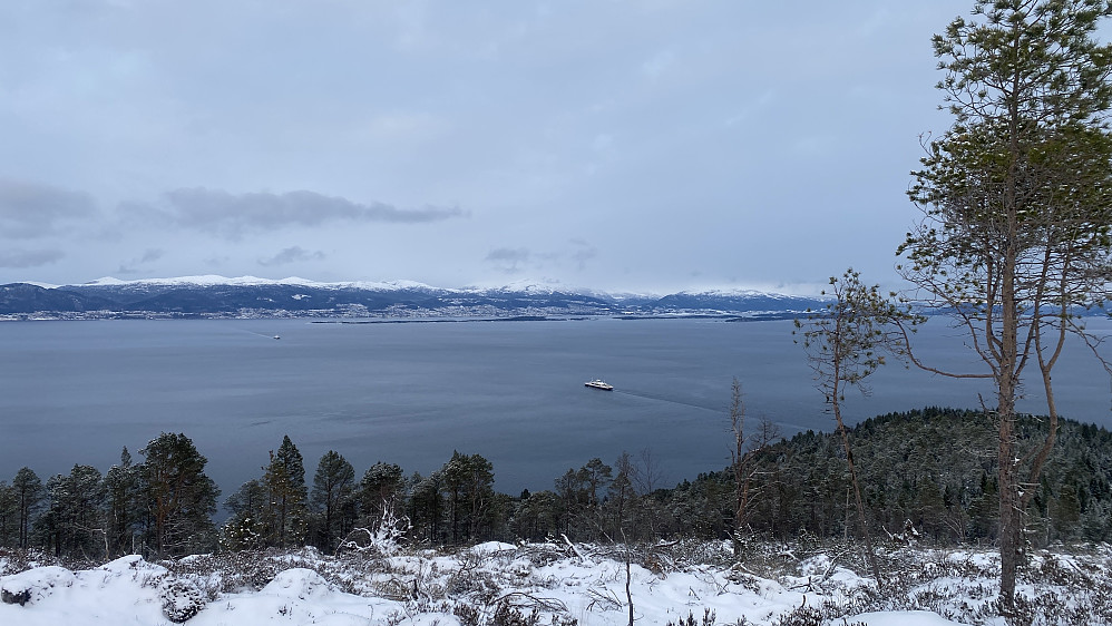 Bilde #5: Utsikt fra Halseberget [136 m.o.h.] mot fjorden og mot Molde. Halseberget har PF ca. 5 m.