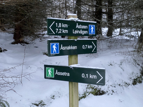 Bilde #9: Fra vest er både skogsveier og -stier opp til Åsnakken [316 m.o.h.] godt merket...