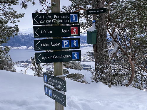 Bilde #11: Åsnakken er på en måte en litt langstrakt rygg, bestående av flere knauser. Her er jeg oppe på den første, som i følge skiltet på treet ligger 304 m.o.h. Tresfjordbrua og Vestnes sentrum sees såvidt mellom trærne.