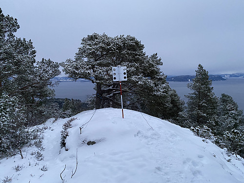 Bilde #17: På Ramnehaugen [304 m.o.h.], den siste av 300-meters-knausene på Åsryggen.