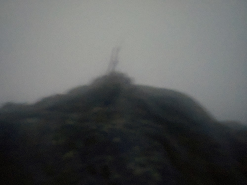 Bilde #5: Varden på toppen av Rishaltheia [556 m.o.h.].