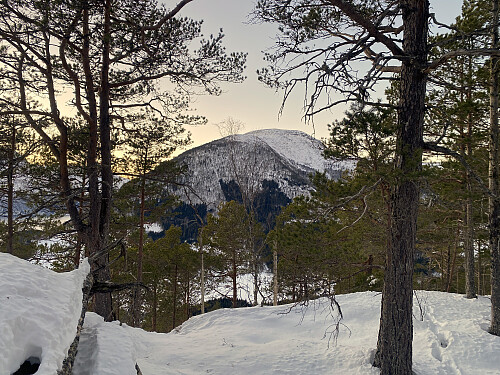 Bilde #4: Oppe på Kammen [288 m.o.h.], med utsikt mot Kvitfjellet/Oksen [833 m.o.h.]. Dagene er korte så tidlig på året, og sola er allerede gått ned bak fjellene.