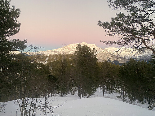 Bilde #9: På vei fra Benningsholten ned mot Kolåsen [359 m.o.h.], med Tarløysa [1086 m.o.h.] bak Kolåsen.