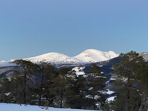 Bilde #12: Utsikt mot Vesleskåla [901 m.o.h.], Skåla [1127 m.o.h.], og Skålaksla [1076 m.o.h.] på andre sida av Langfjorden.